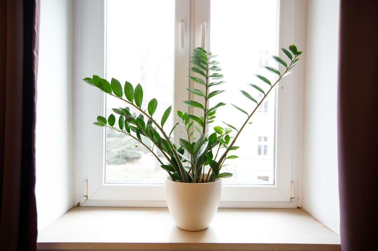 Apartamenty Vilda Poznaň Exteriér fotografie